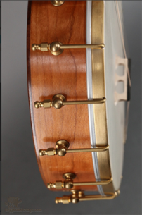 chromatic banjo